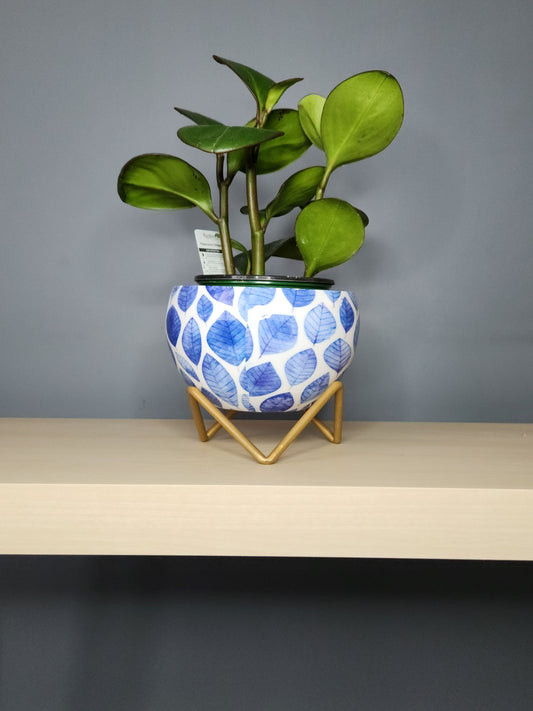 Indoor Planter Pots | Blue Leaves Design with Gold Rustic Stand
